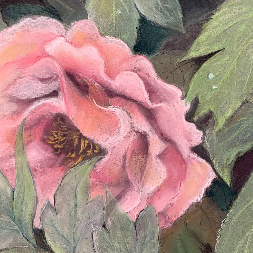 69164a62e1b8ea140711df10_10-peony-detail_1770870374723.jpg