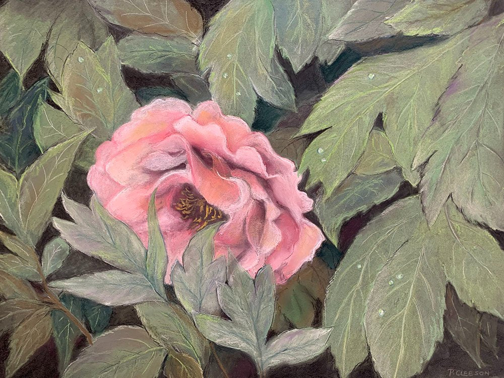 69164a62e1b8ea140711df10_10-peony_1770870346951.jpg