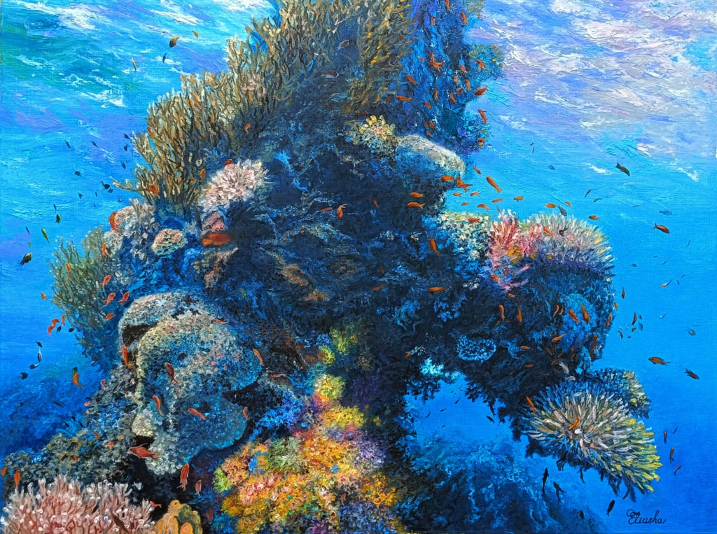 69164a62e1b8ea140711df10_1000005499_1783140802314.jpg