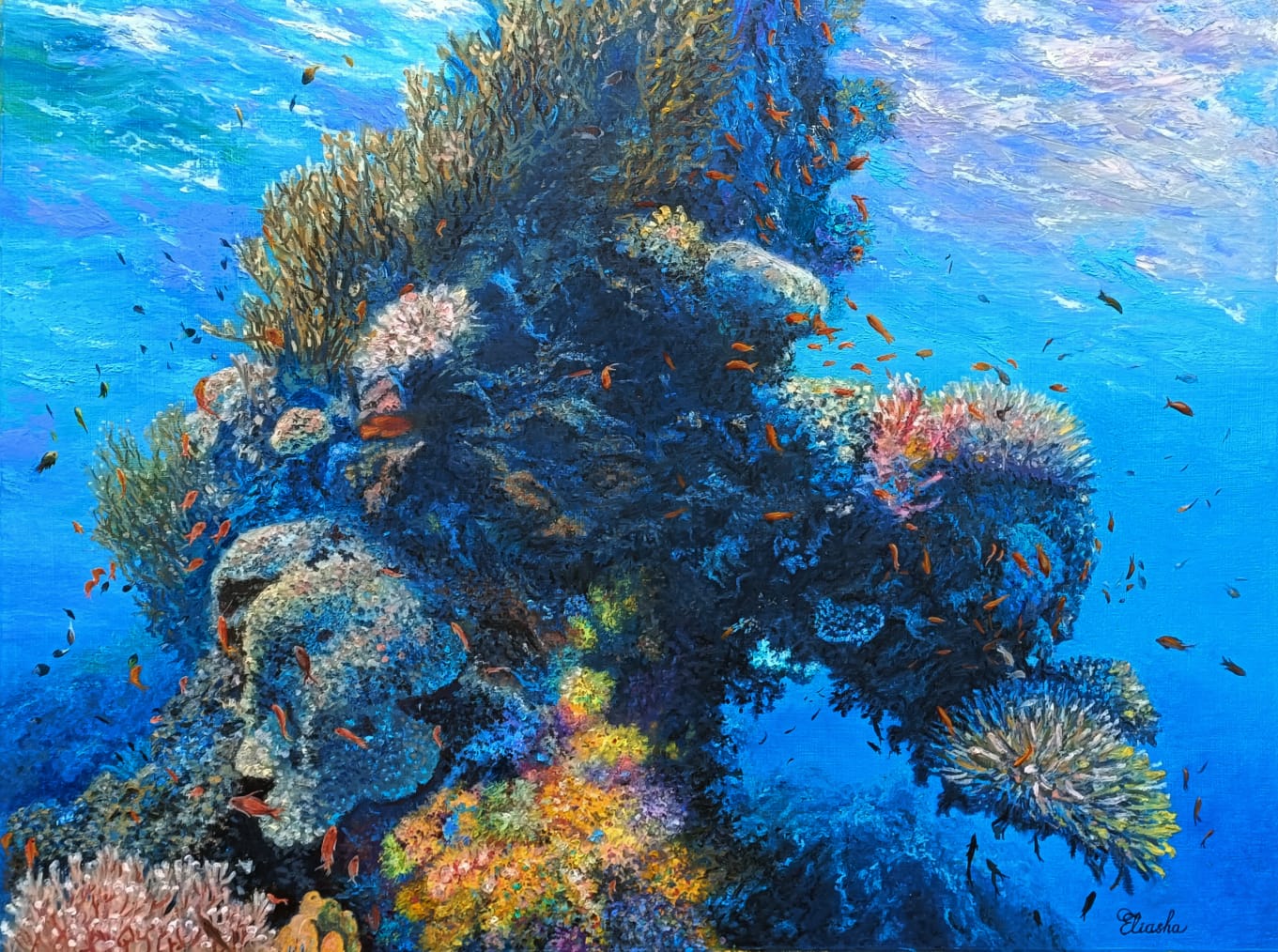 69164a62e1b8ea140711df10_1000005499_1783140802314.jpg