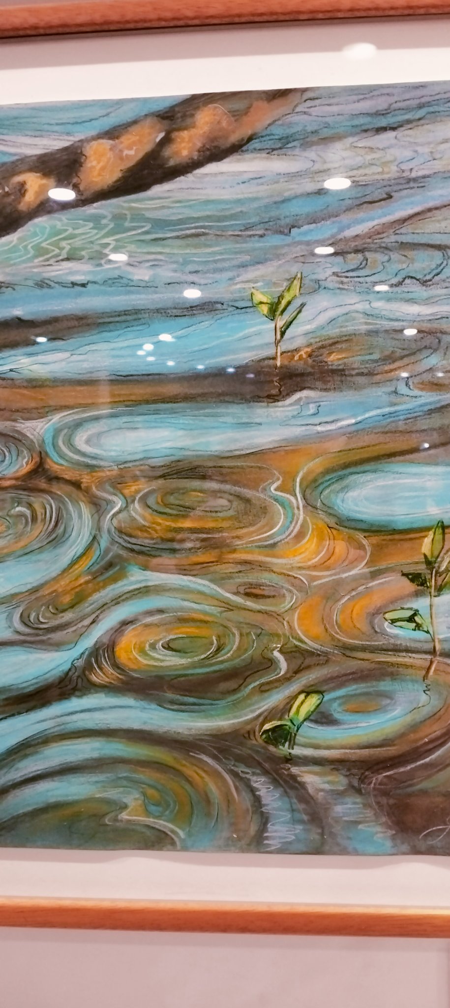 69164a62e1b8ea140711df10_1000065815_1790131268858.jpg