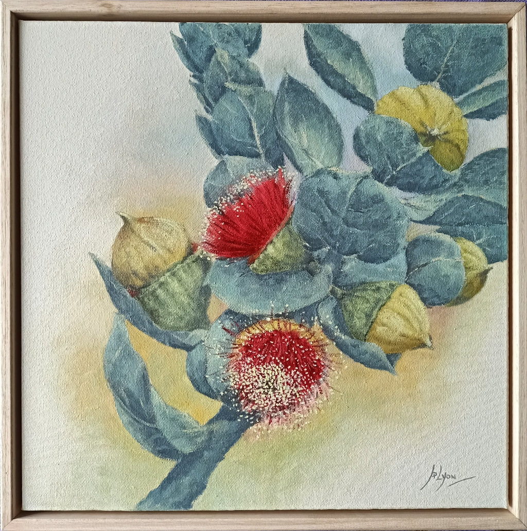 69164a62e1b8ea140711df10_160-eucalyptus-bloom-31x31_1779689424667.jpg