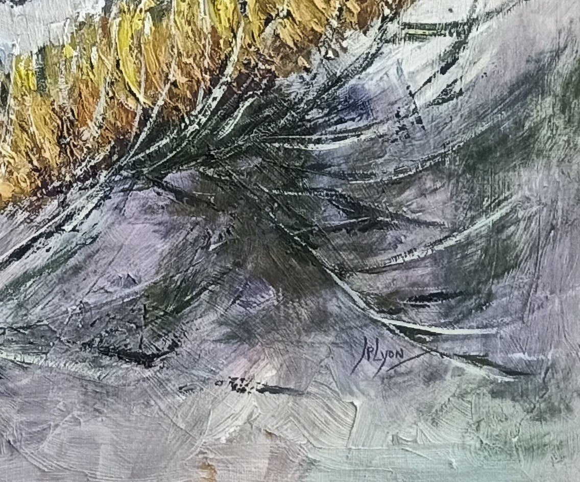 69164a62e1b8ea140711df10_200_1779693608485.jpg