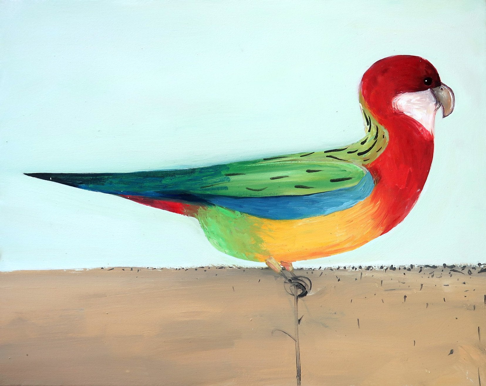 69164a62e1b8ea140711df10_2023-rosella-1_1774065337944.jpg