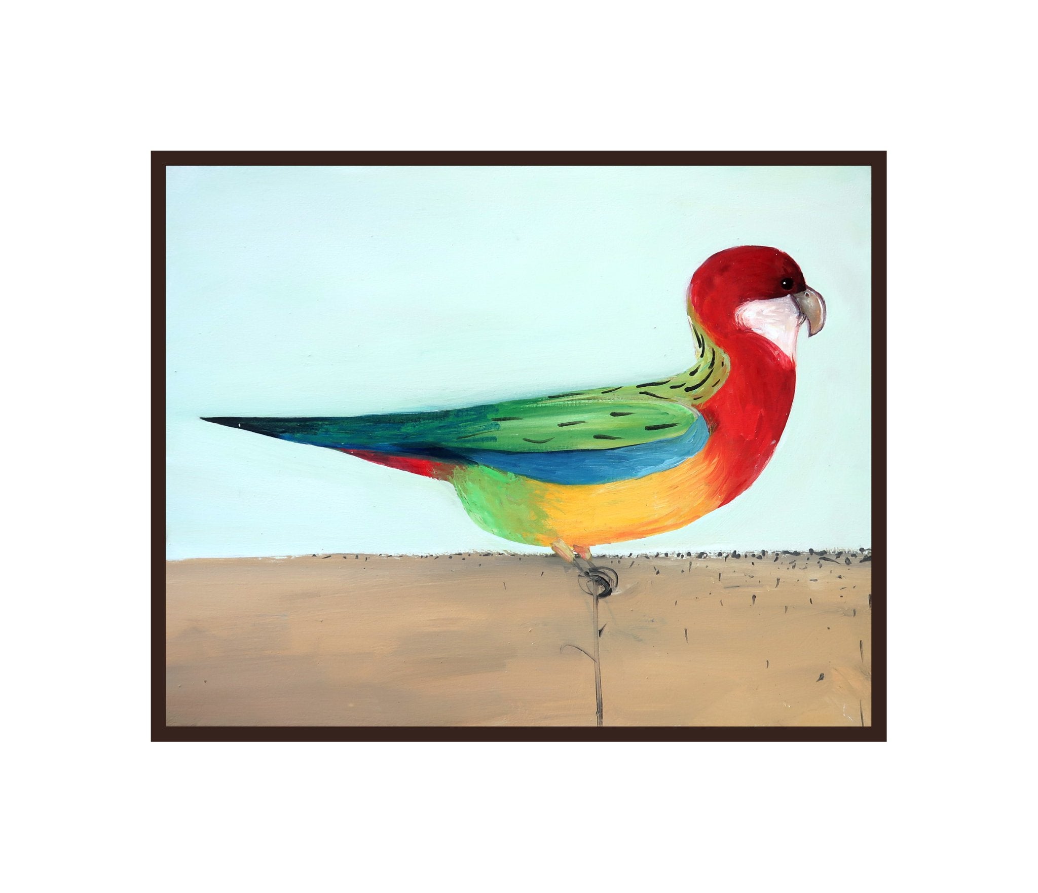 69164a62e1b8ea140711df10_2023-rosella-1a_1774065337945.jpg