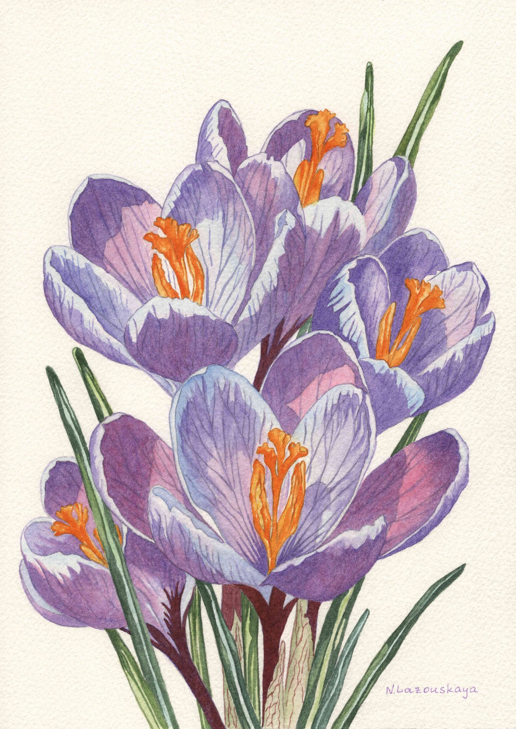 69164a62e1b8ea140711df10_20260730-crocus-online_1785405662051.jpg