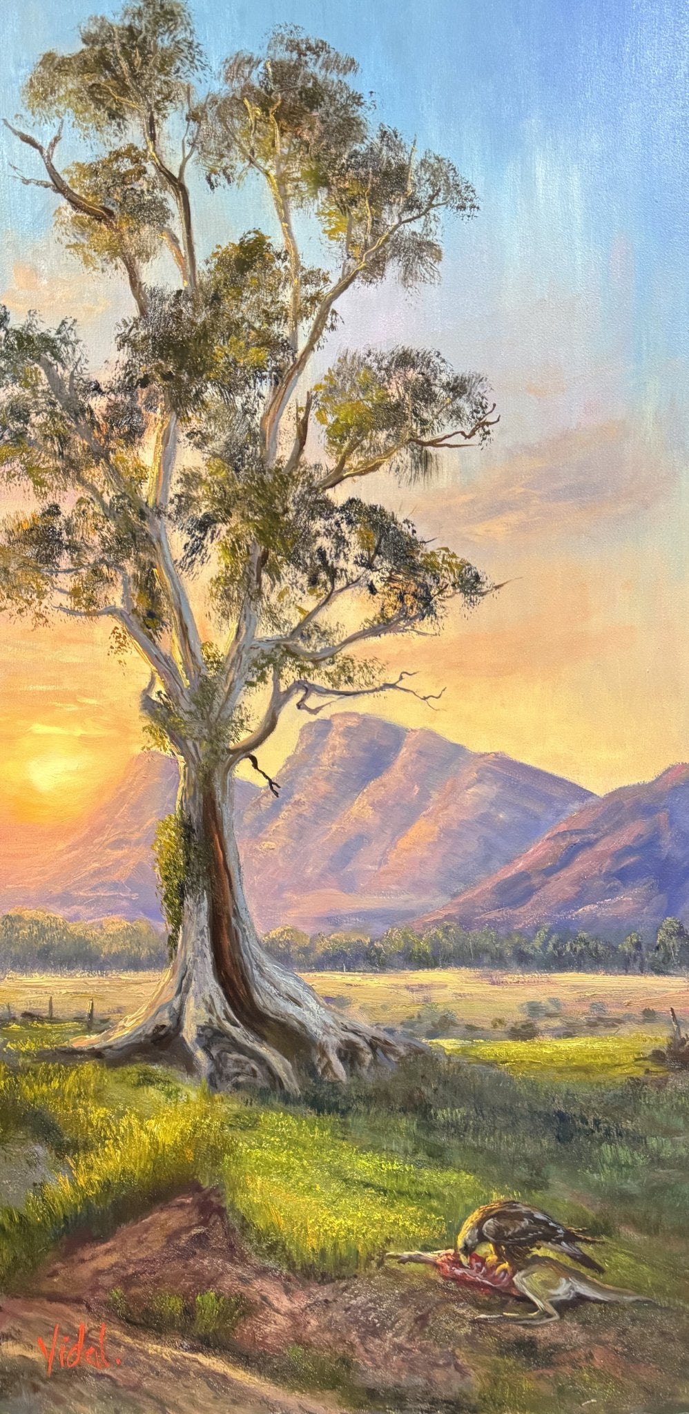 69164a62e1b8ea140711df10_2026p718-guardian-of-the-flinders_1785127083826.jpg