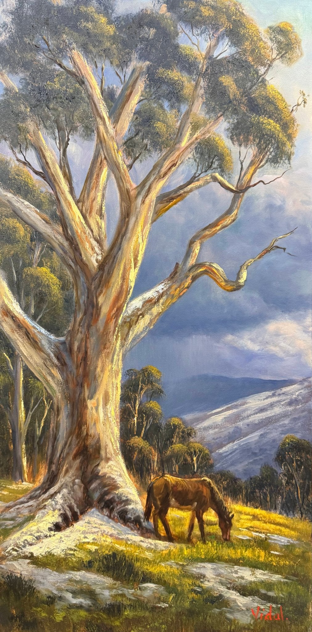 69164a62e1b8ea140711df10_2026p820-the-last-graze-kosciuszko-brumby-oil-painting-christopher-vidal_1786772216221.jpg