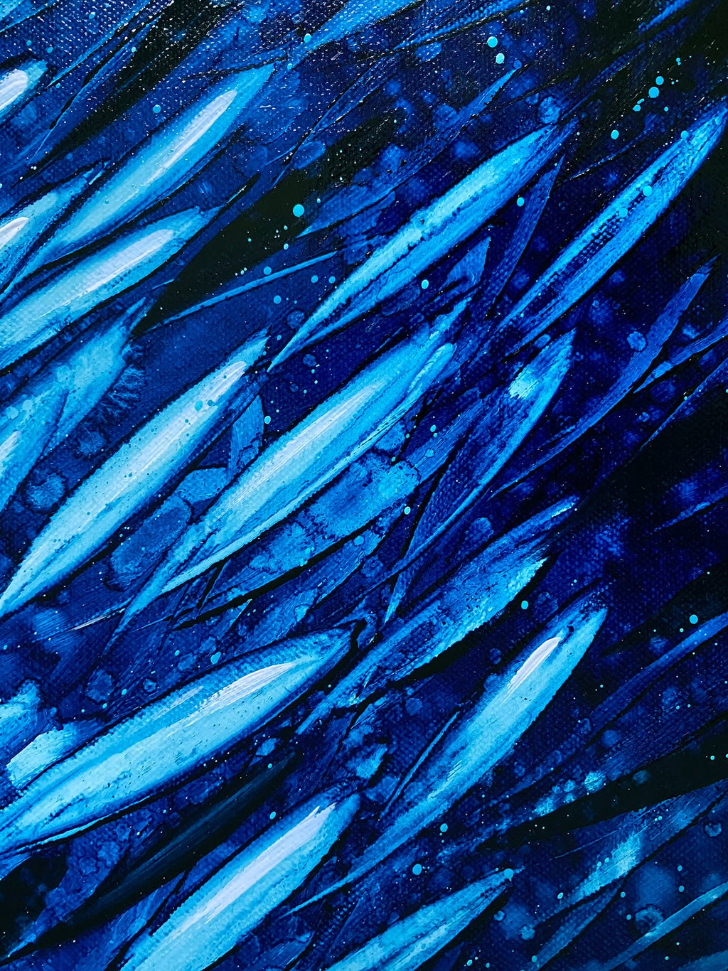 69164a62e1b8ea140711df10_a-school-of-fish-close-lr_1773449614909.jpg