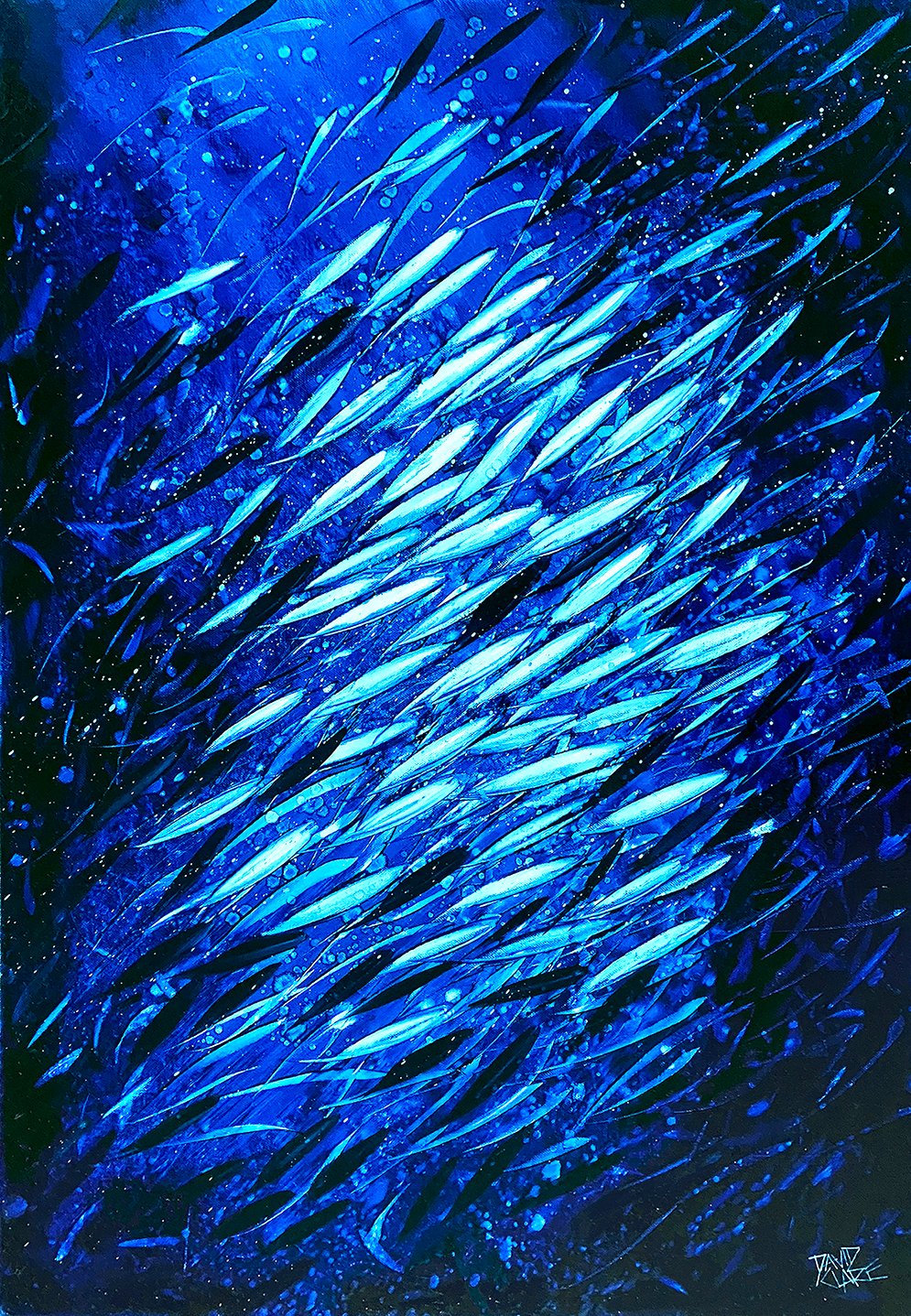 69164a62e1b8ea140711df10_a-school-of-fish-lr_1773449614905.jpg