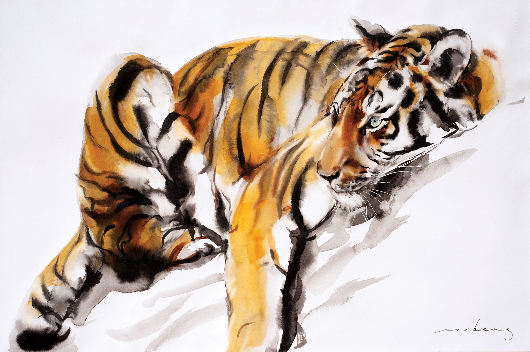 69164a62e1b8ea140711df10_a-tiger-s-rest_1774048177402.jpg