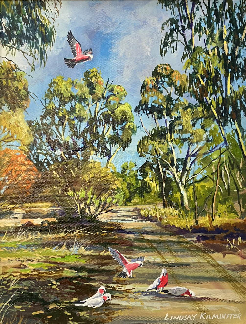 69164a62e1b8ea140711df10_adelaide-hills-galahs-cropped_1774918048902.png