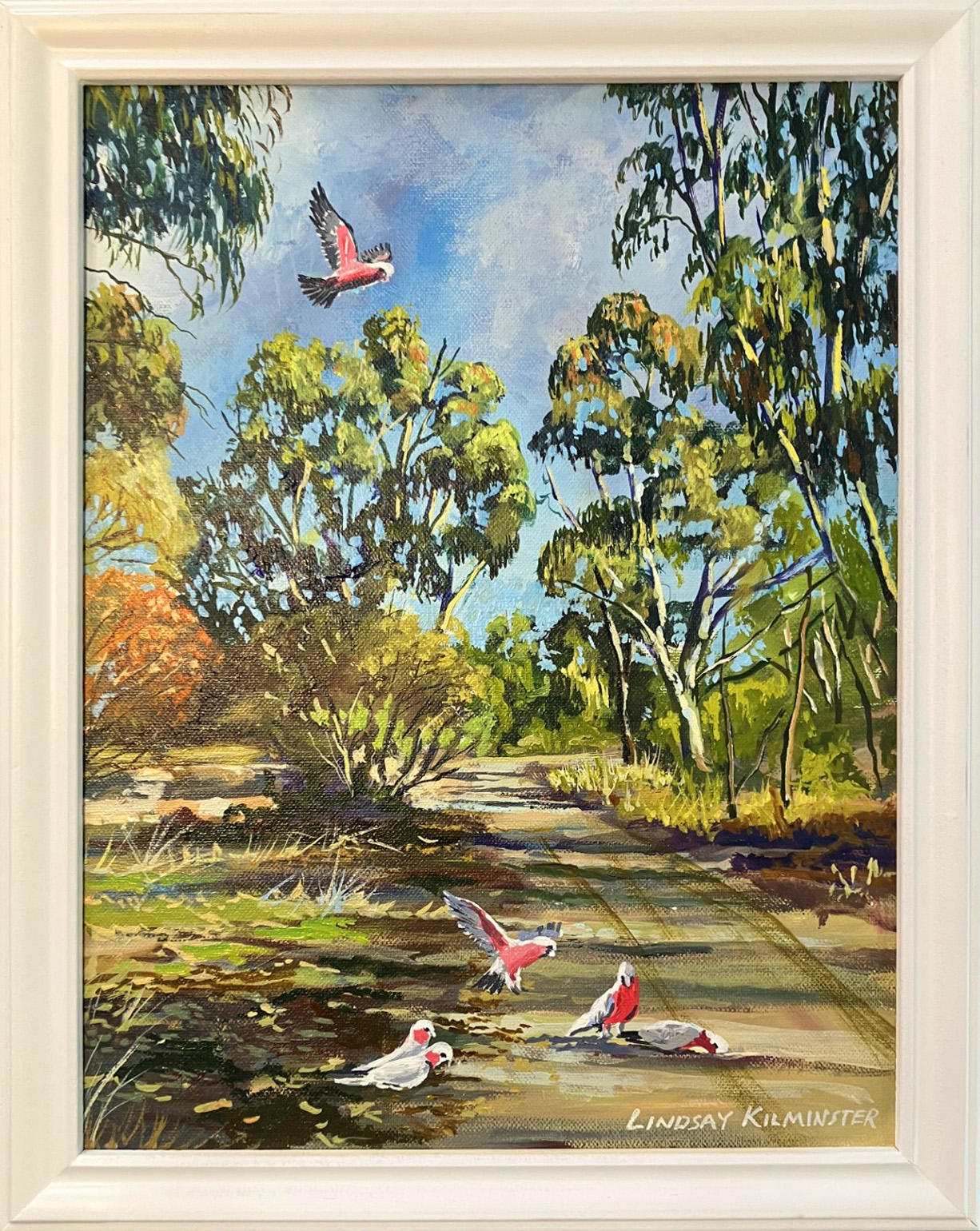 69164a62e1b8ea140711df10_adelaide-hills-galahs_1774918115926.png