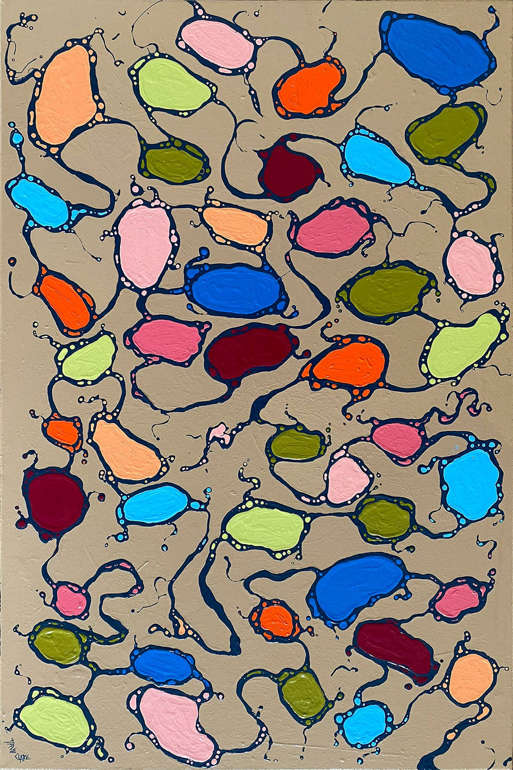 69164a62e1b8ea140711df10_amoeba-2-lr_1785875850742.jpg