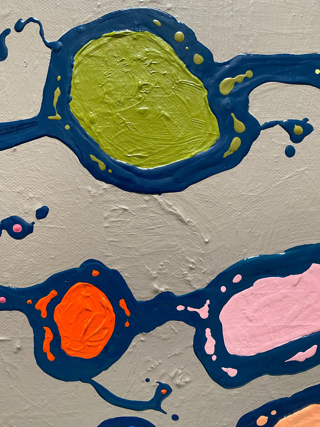 69164a62e1b8ea140711df10_amoeba-close-lr_1785833920454.jpg
