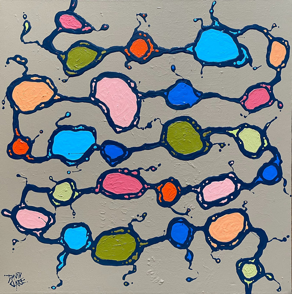69164a62e1b8ea140711df10_amoeba-lr_1785833920453.jpg