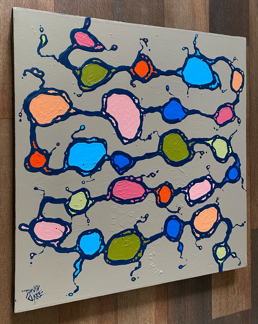 69164a62e1b8ea140711df10_amoeba-ls-lr_1785833920454.jpg