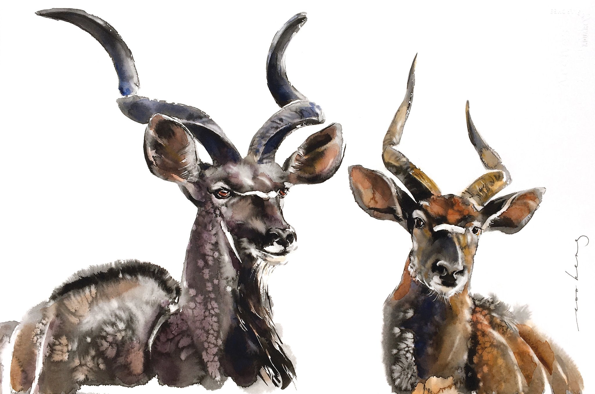 69164a62e1b8ea140711df10_antelope-charm_1774931458950.jpg
