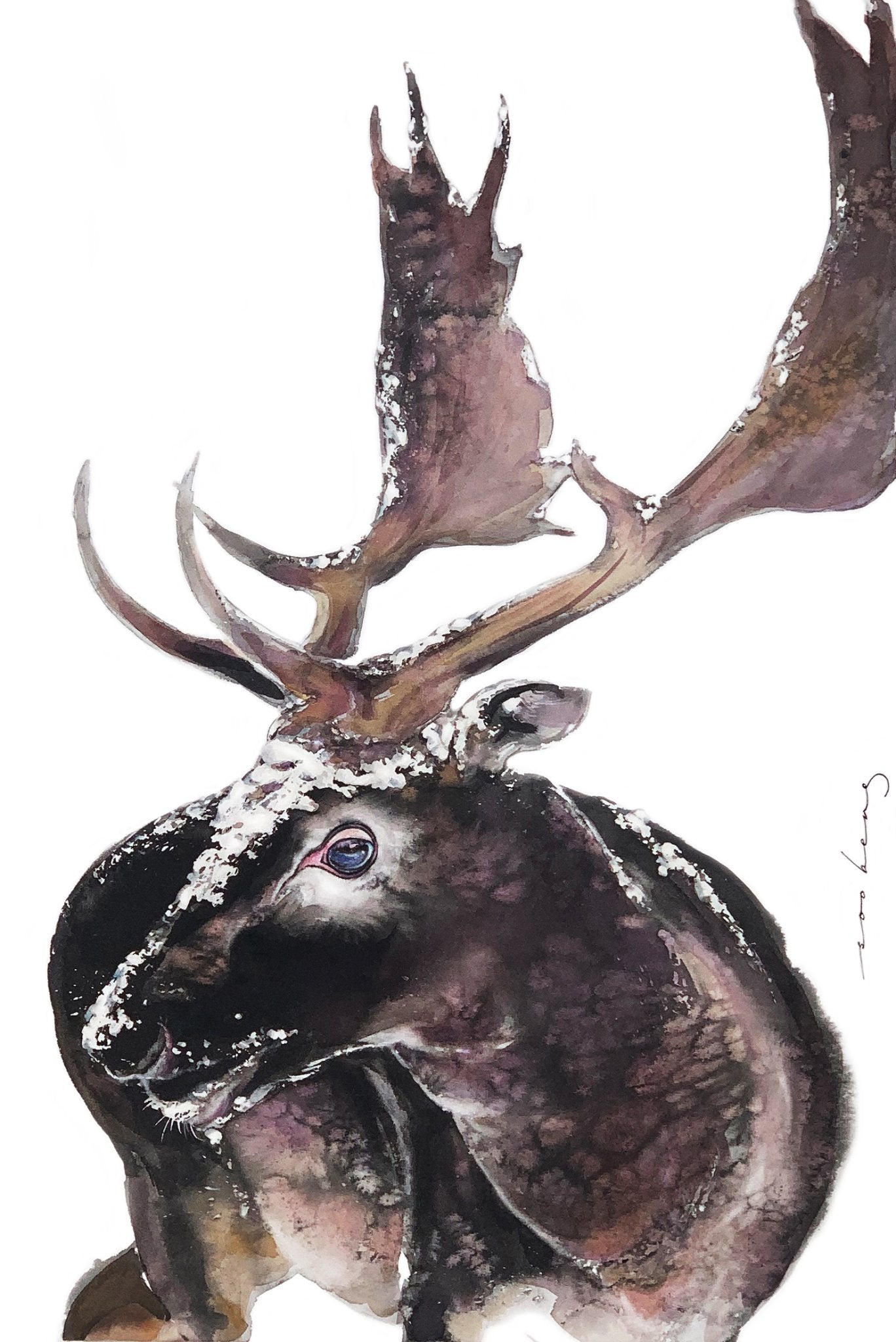 69164a62e1b8ea140711df10_antlers_1774080095548.jpg