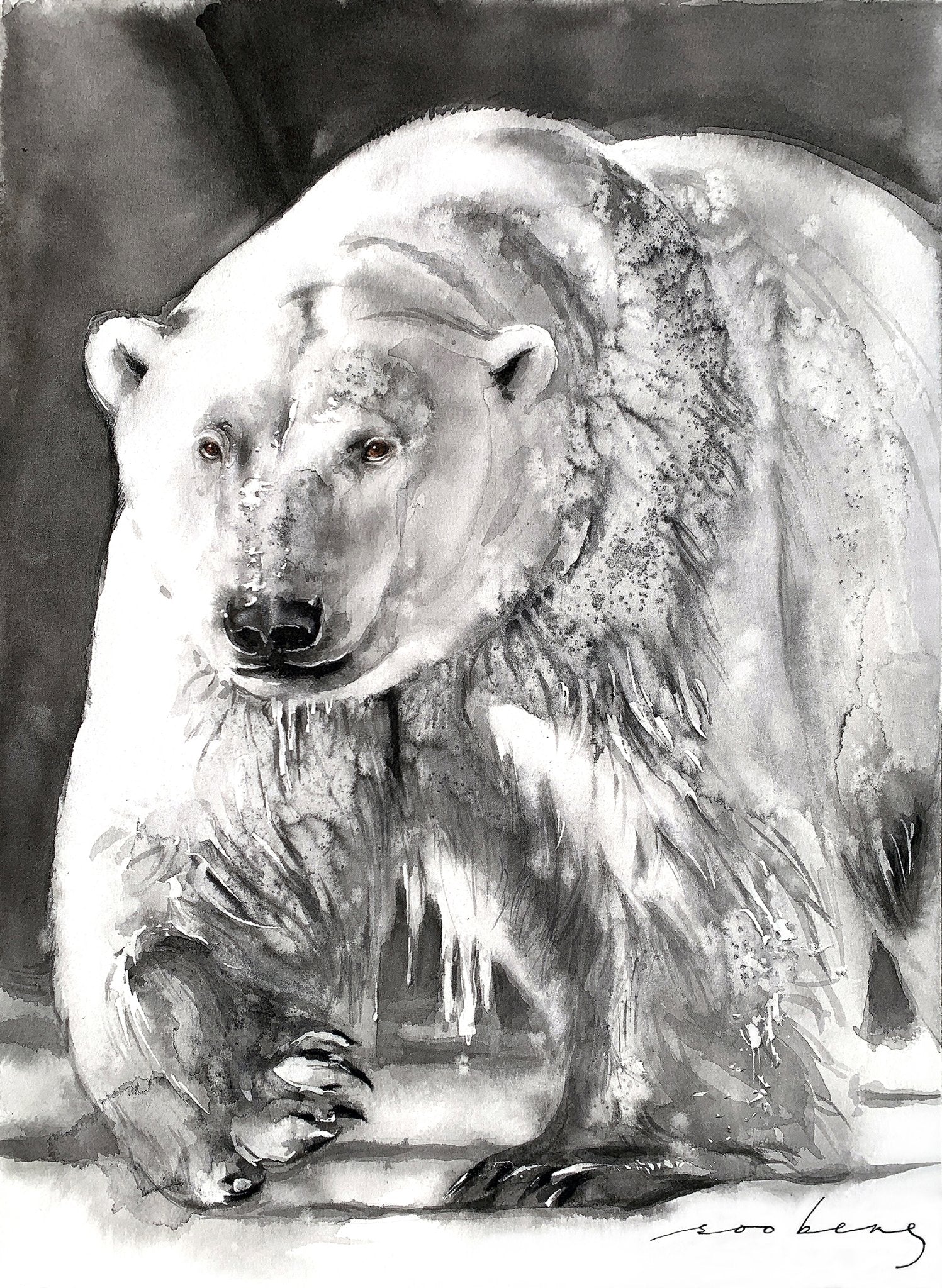 69164a62e1b8ea140711df10_arctic-monarch-copy_1773653609073.jpg