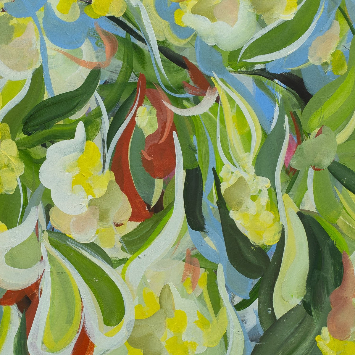 69164a62e1b8ea140711df10_australian-wattle-original-art-by-amber-gittins-crop-2_1788912829502.jpg