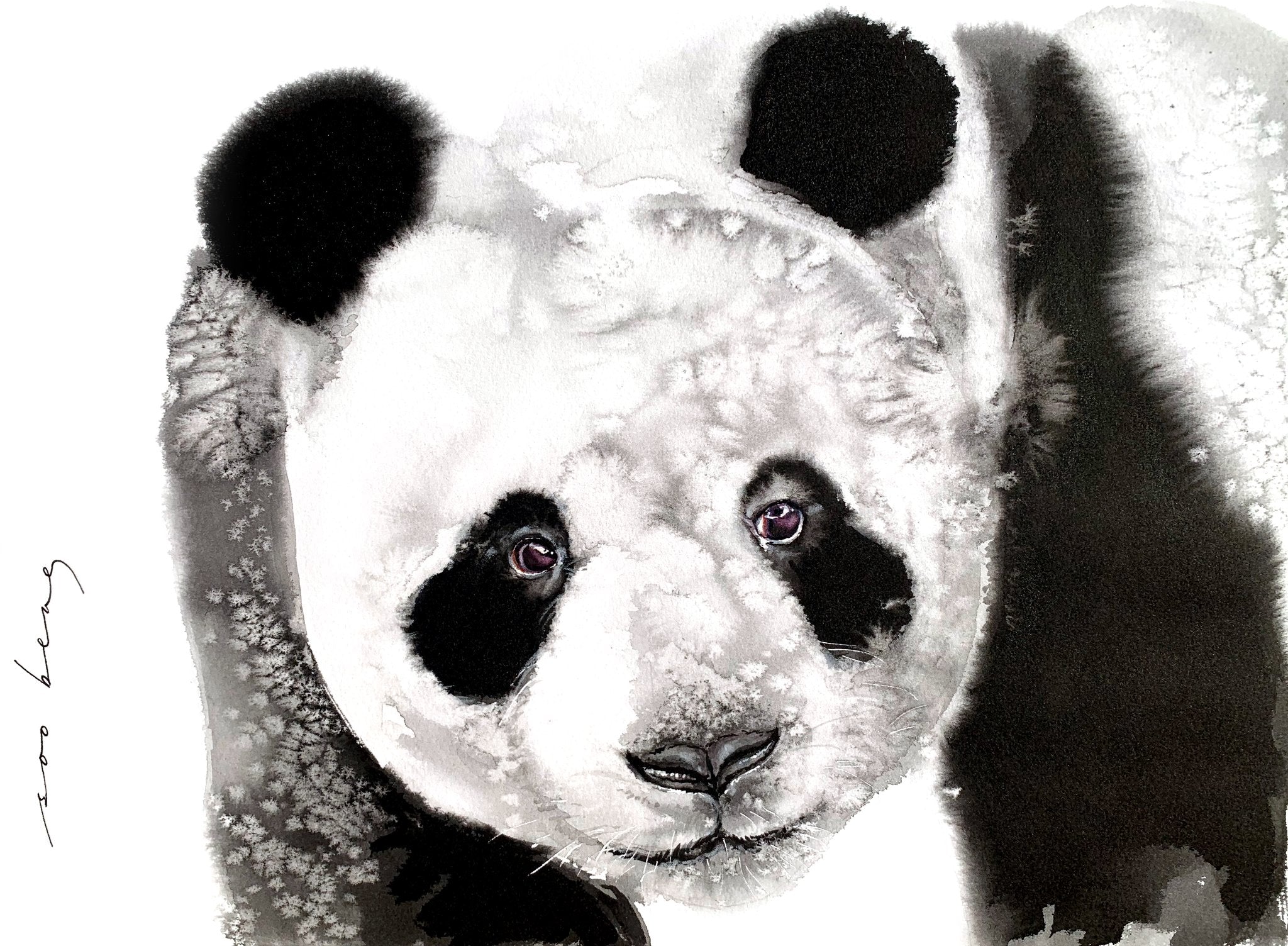 69164a62e1b8ea140711df10_bamboo-bandit_1781998828837.jpg