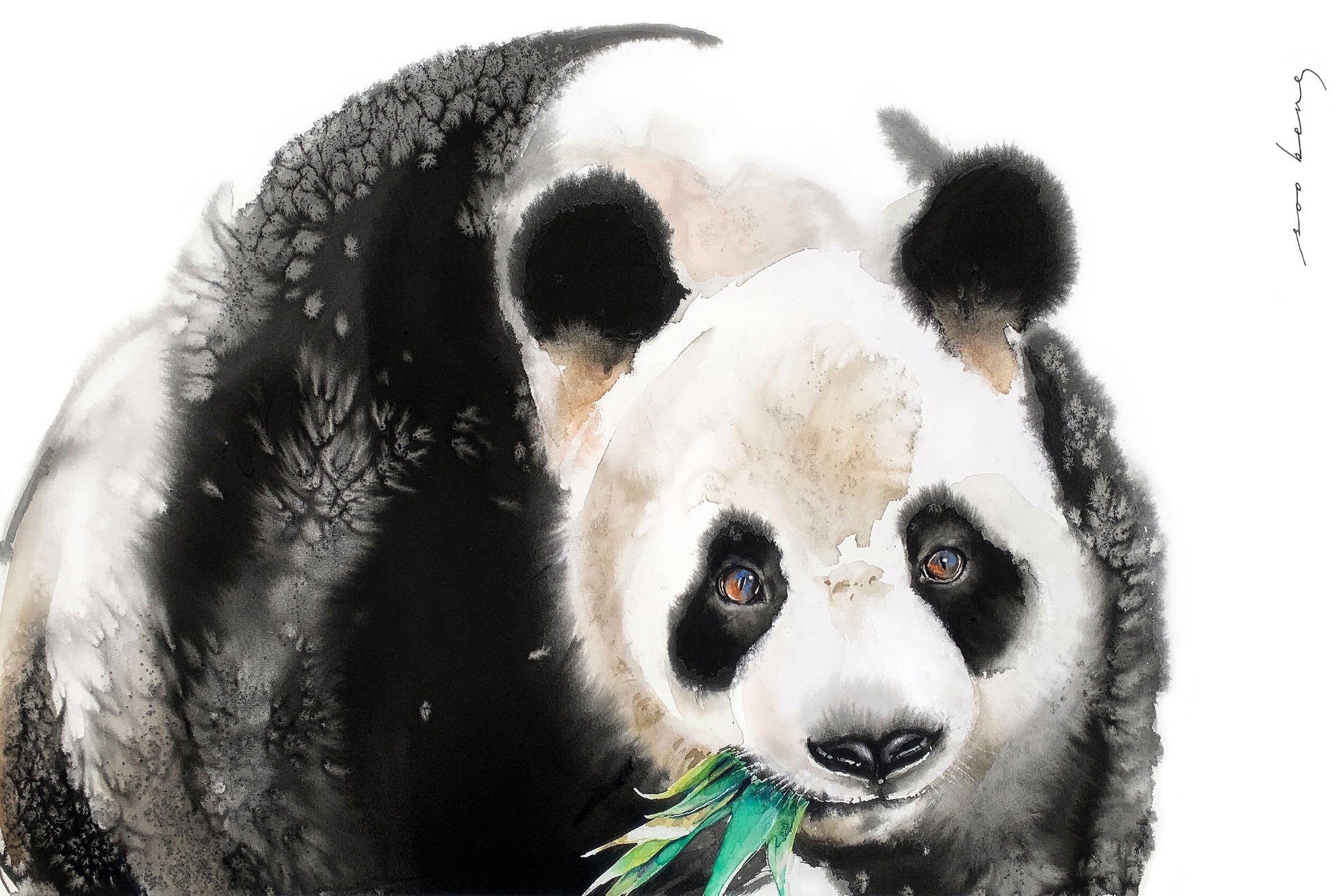 69164a62e1b8ea140711df10_bamboo-connoisseur-copy_1775541032529.jpg