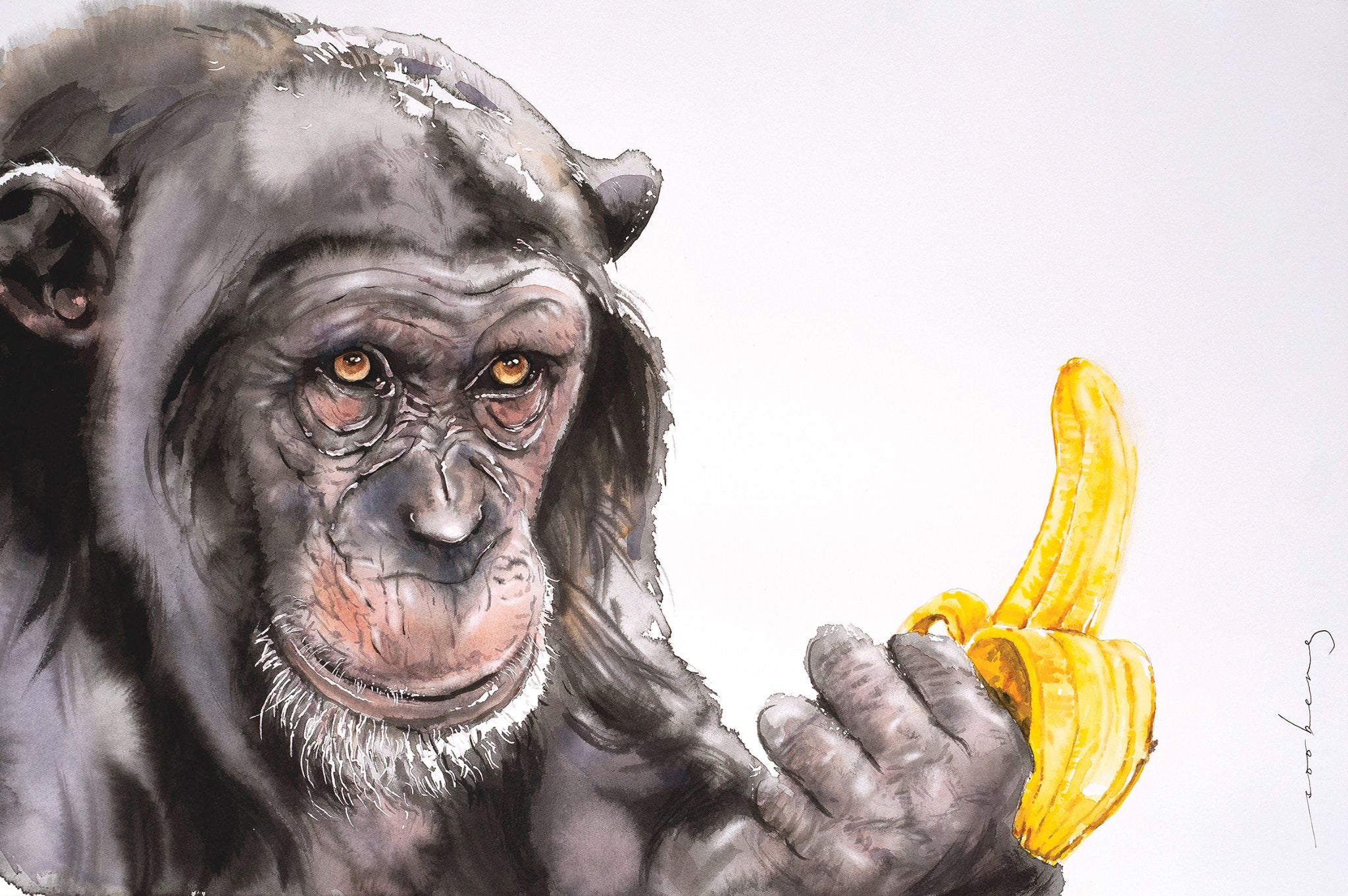 69164a62e1b8ea140711df10_banana-anyone-_1774676600533.jpg