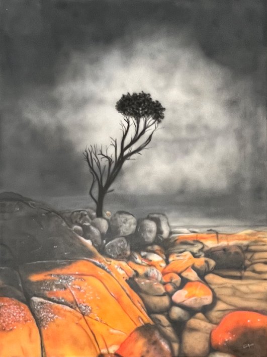 69164a62e1b8ea140711df10_bay-of-fires-120x90_1774053701203.jpg
