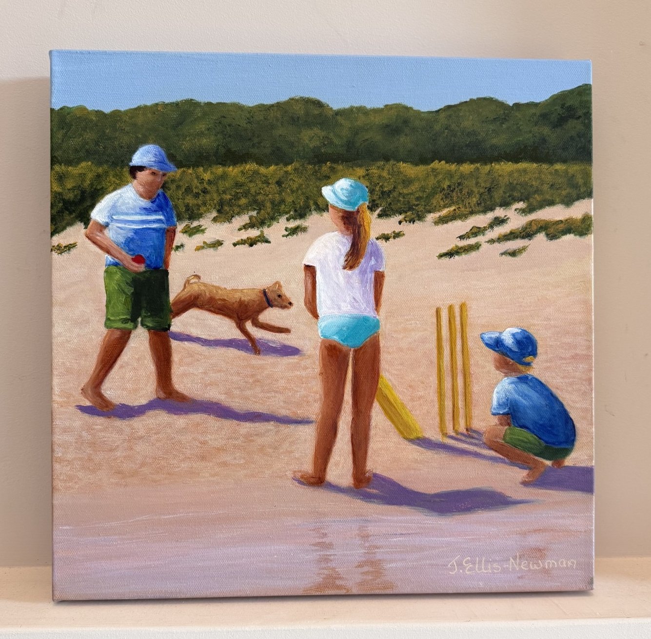 69164a62e1b8ea140711df10_beach-cricket-1a_1779615755977.jpg