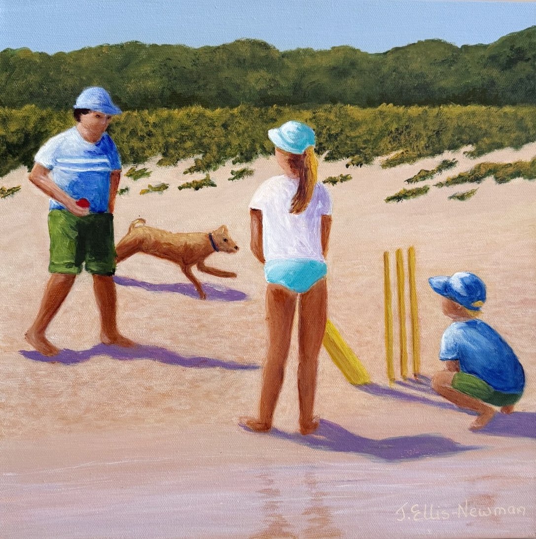 69164a62e1b8ea140711df10_beach-cricket-3_1779615091439.jpg