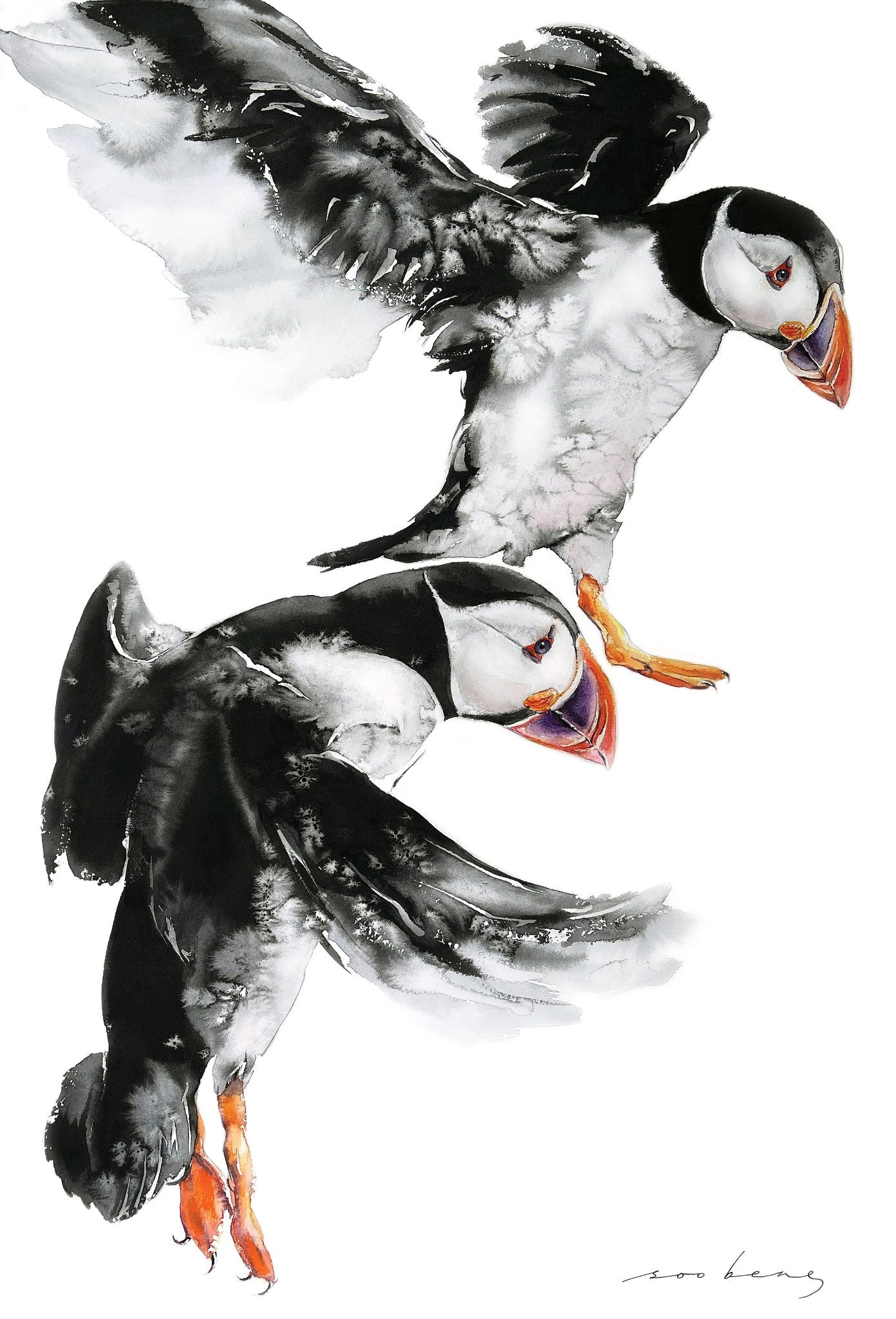 69164a62e1b8ea140711df10_beak-buddies-copy_1773143980267.jpg