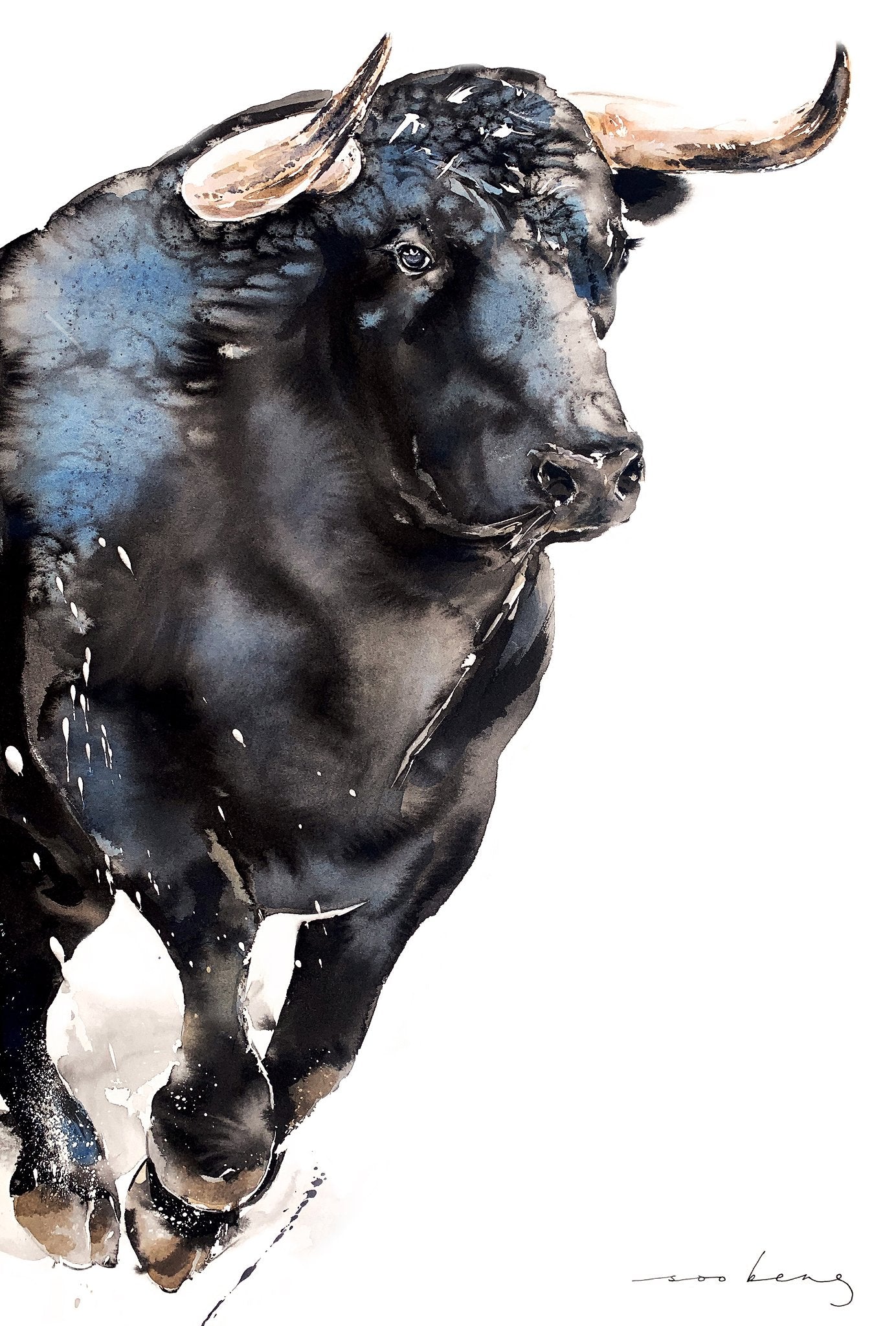 69164a62e1b8ea140711df10_beyond-the-horns-copy_1773265896694.jpg