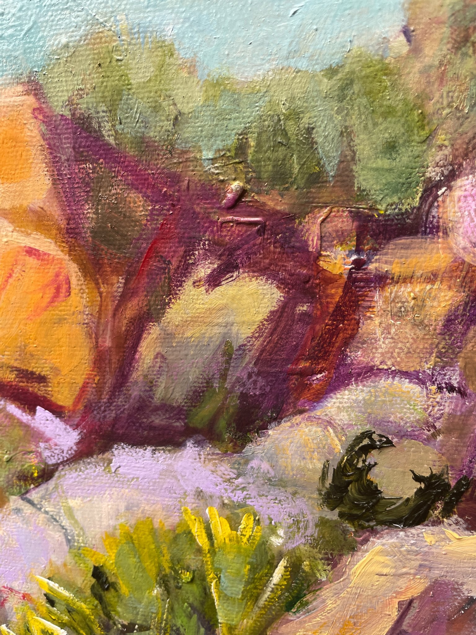 69164a62e1b8ea140711df10_big-rock-among-the-reeds-closeup-1_1770277092171.jpg
