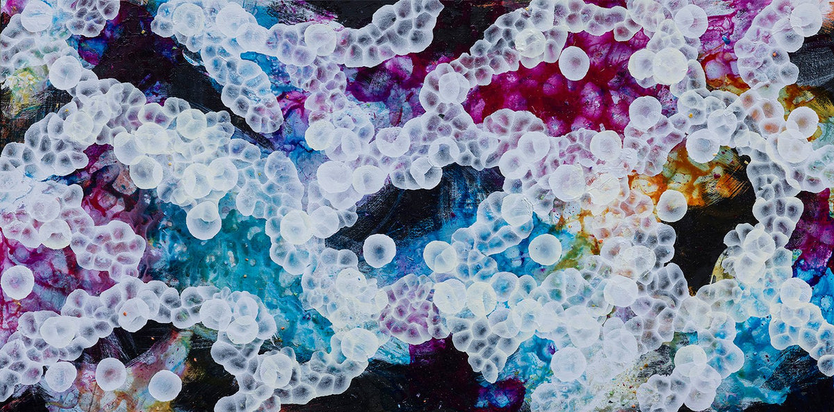 69164a62e1b8ea140711df10_bio-bloom-rockpool-musings-v-bfe_1791513069352.jpg