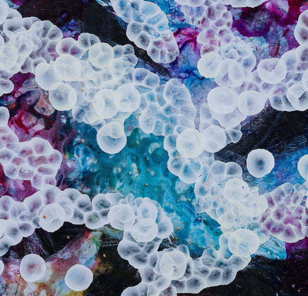 69164a62e1b8ea140711df10_bio-bloom-rockpool-musings-v-detail-72dpi-bfe_1791513209497.jpg