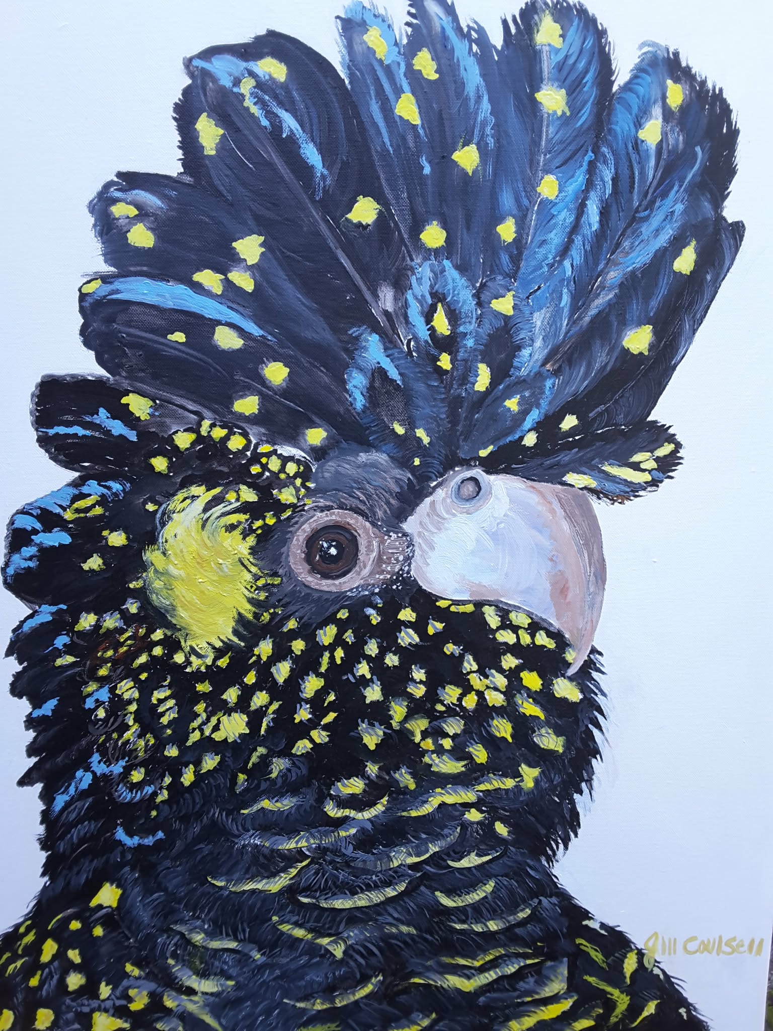 69164a62e1b8ea140711df10_birb_1771733895159.jpg