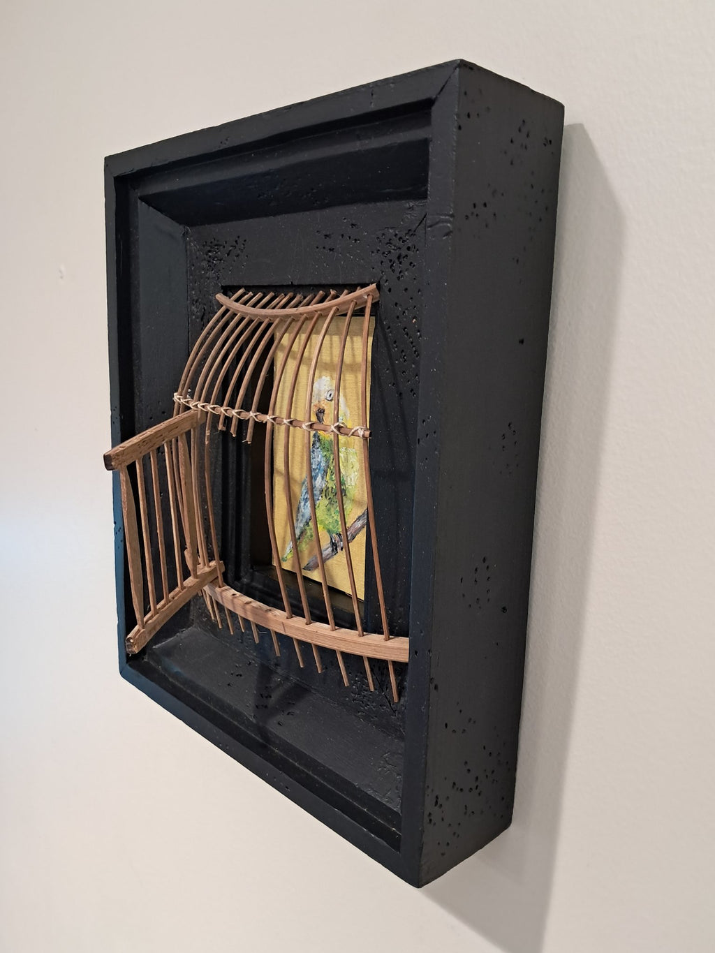 69164a62e1b8ea140711df10_bird-door-open_1777018745674.jpg