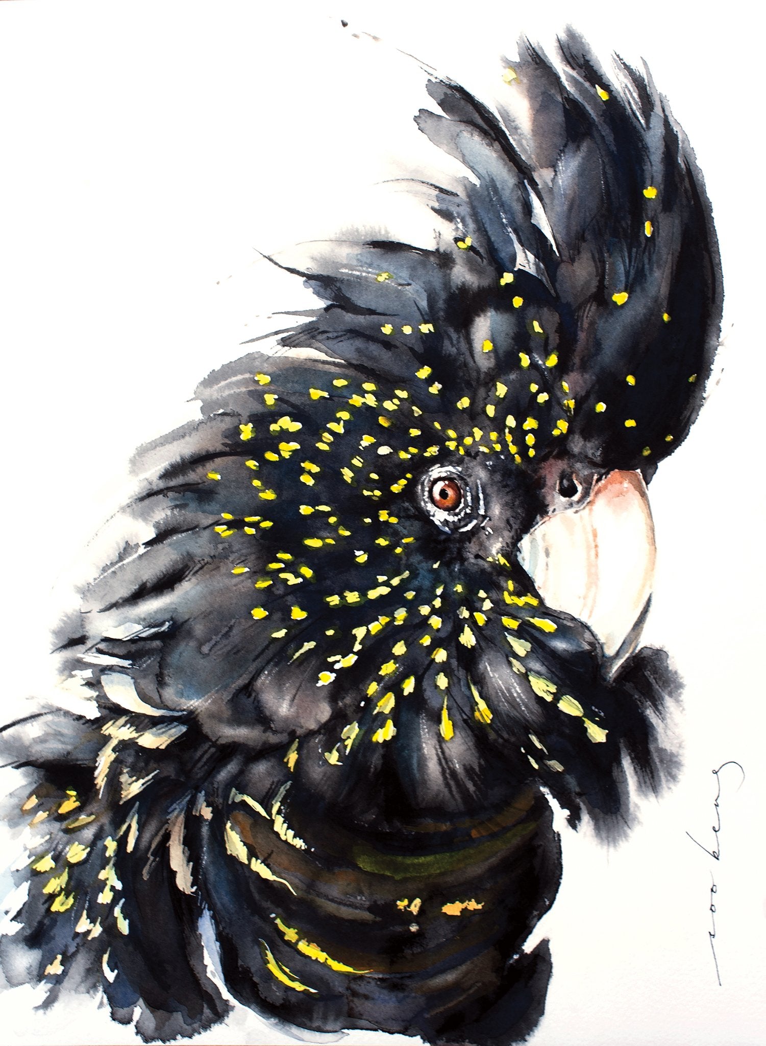 69164a62e1b8ea140711df10_black-cockatoo2_1774933912132.jpg