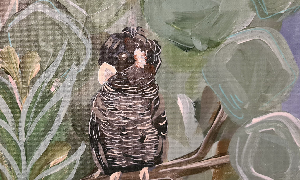 69164a62e1b8ea140711df10_black-cockatoos-detail-2_1775536668925.png