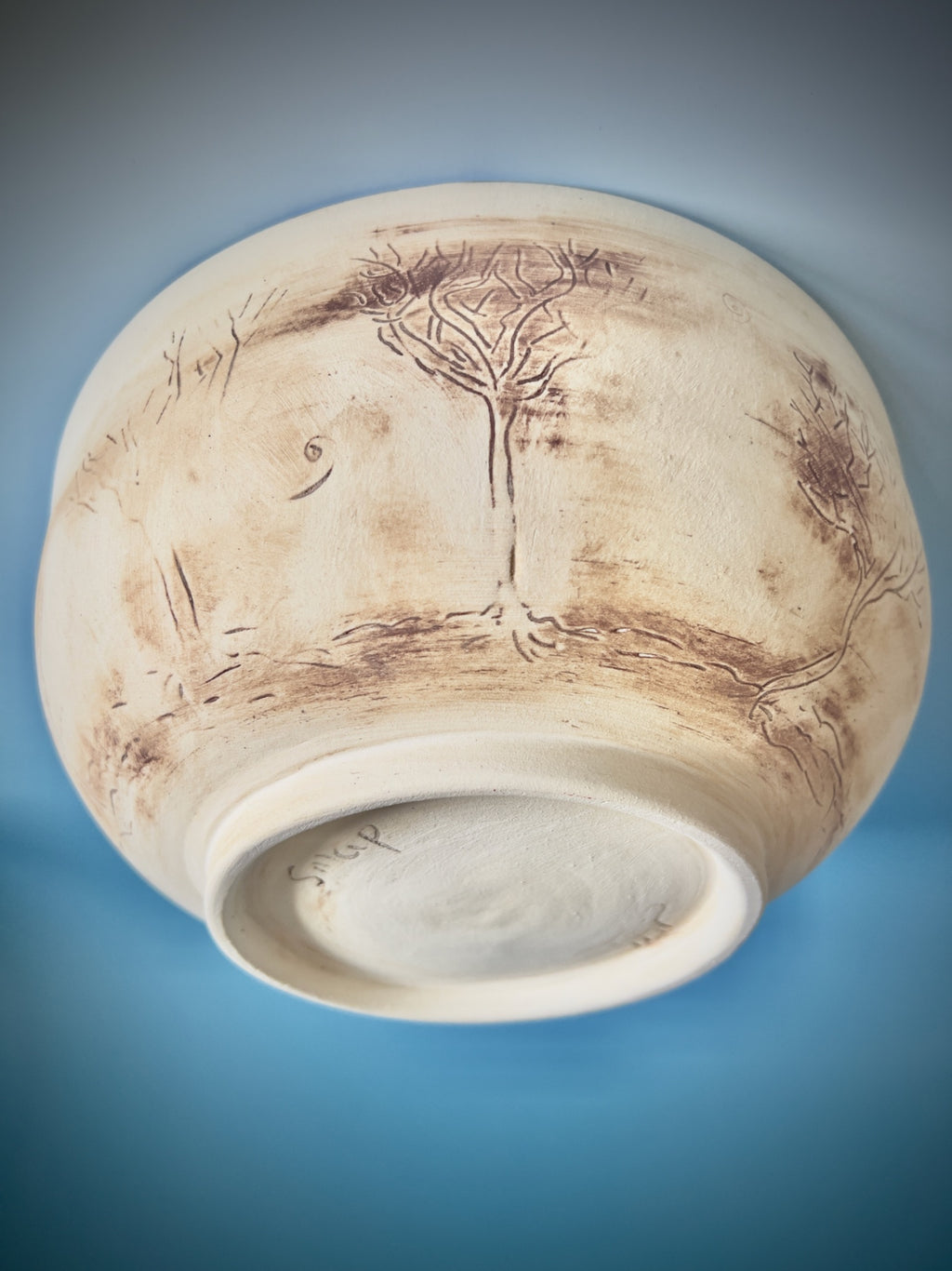 69164a62e1b8ea140711df10_blue-and-raw-tree-bowl-underneath-susannah-paterson_1776407282679.jpeg