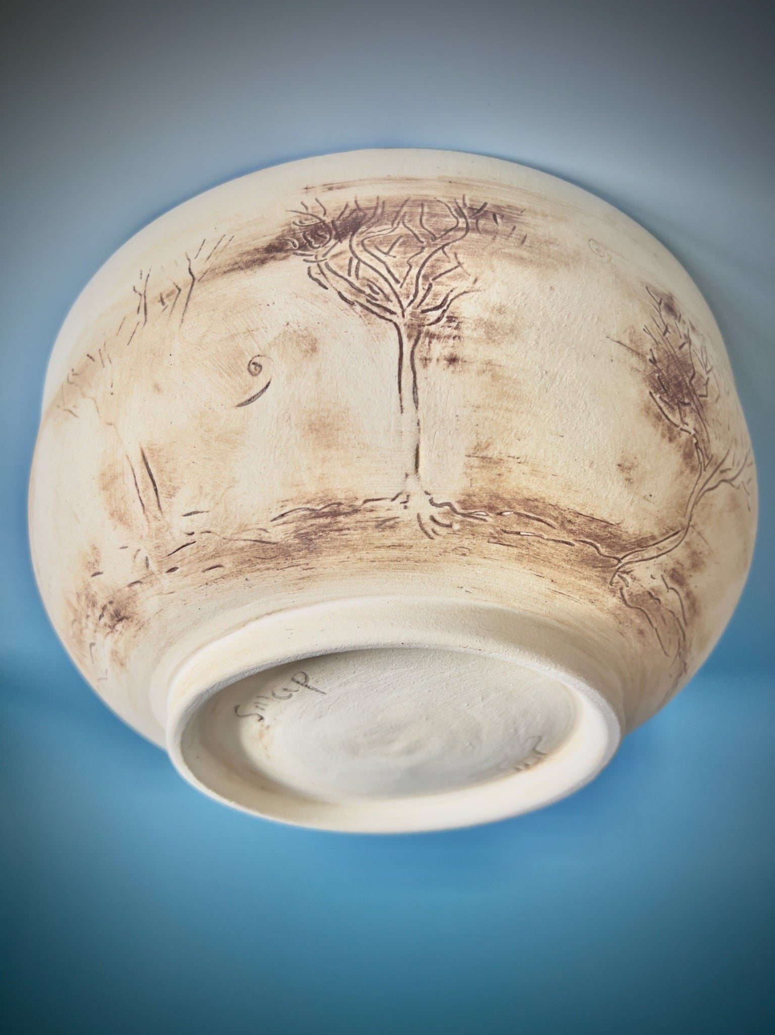 69164a62e1b8ea140711df10_blue-and-raw-tree-bowl-underneath-susannah-paterson_1776407282679.jpeg