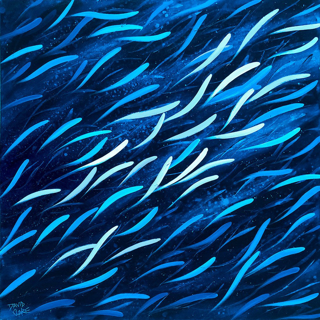 69164a62e1b8ea140711df10_blue-by-you-adj-lr_1773530260171.jpg