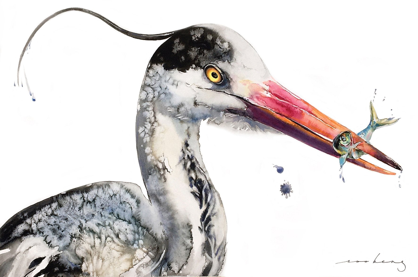 69164a62e1b8ea140711df10_blue-heron_1773876118312.jpg