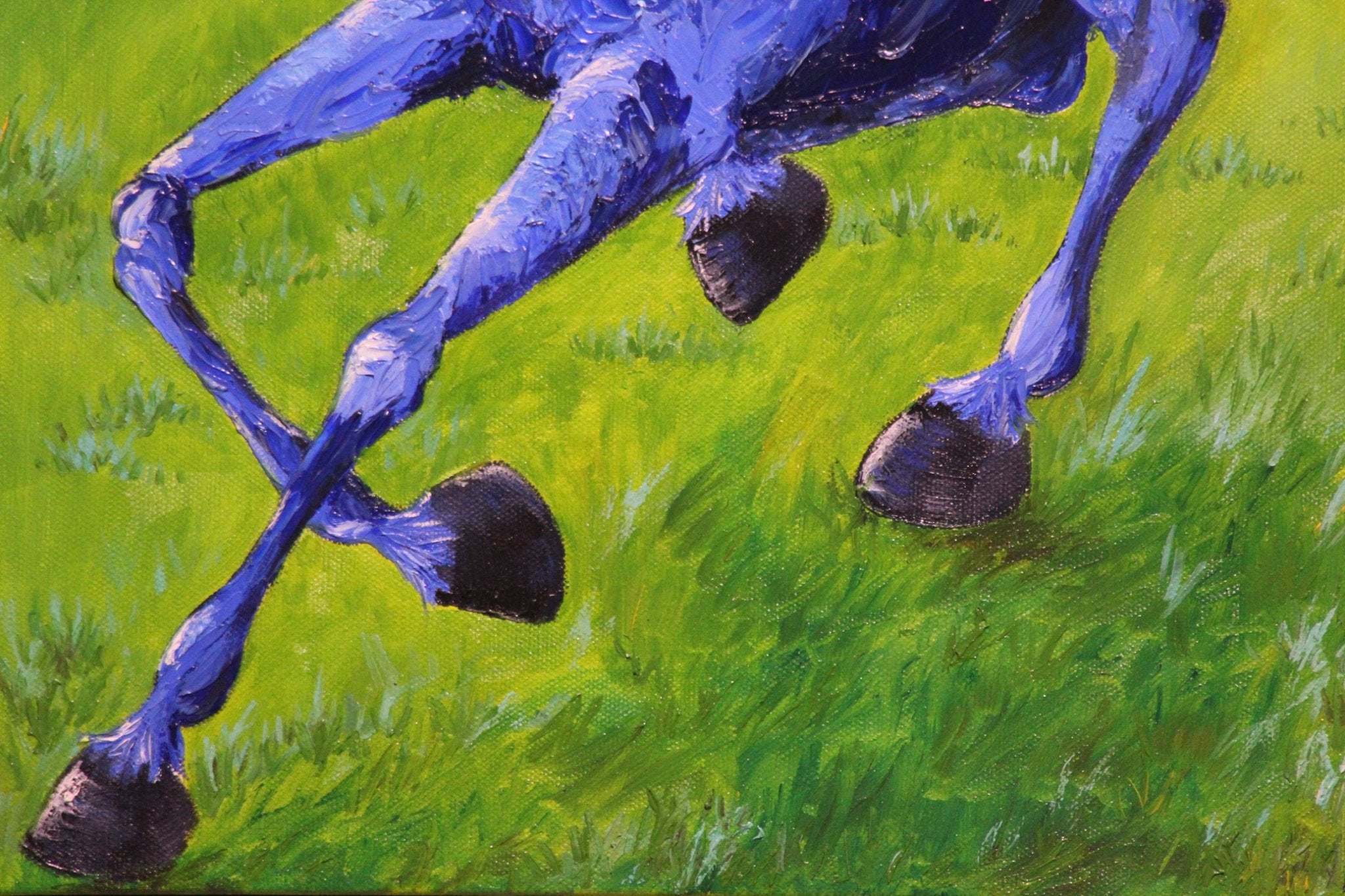 69164a62e1b8ea140711df10_blue-horse-b_1778174668446.jpg
