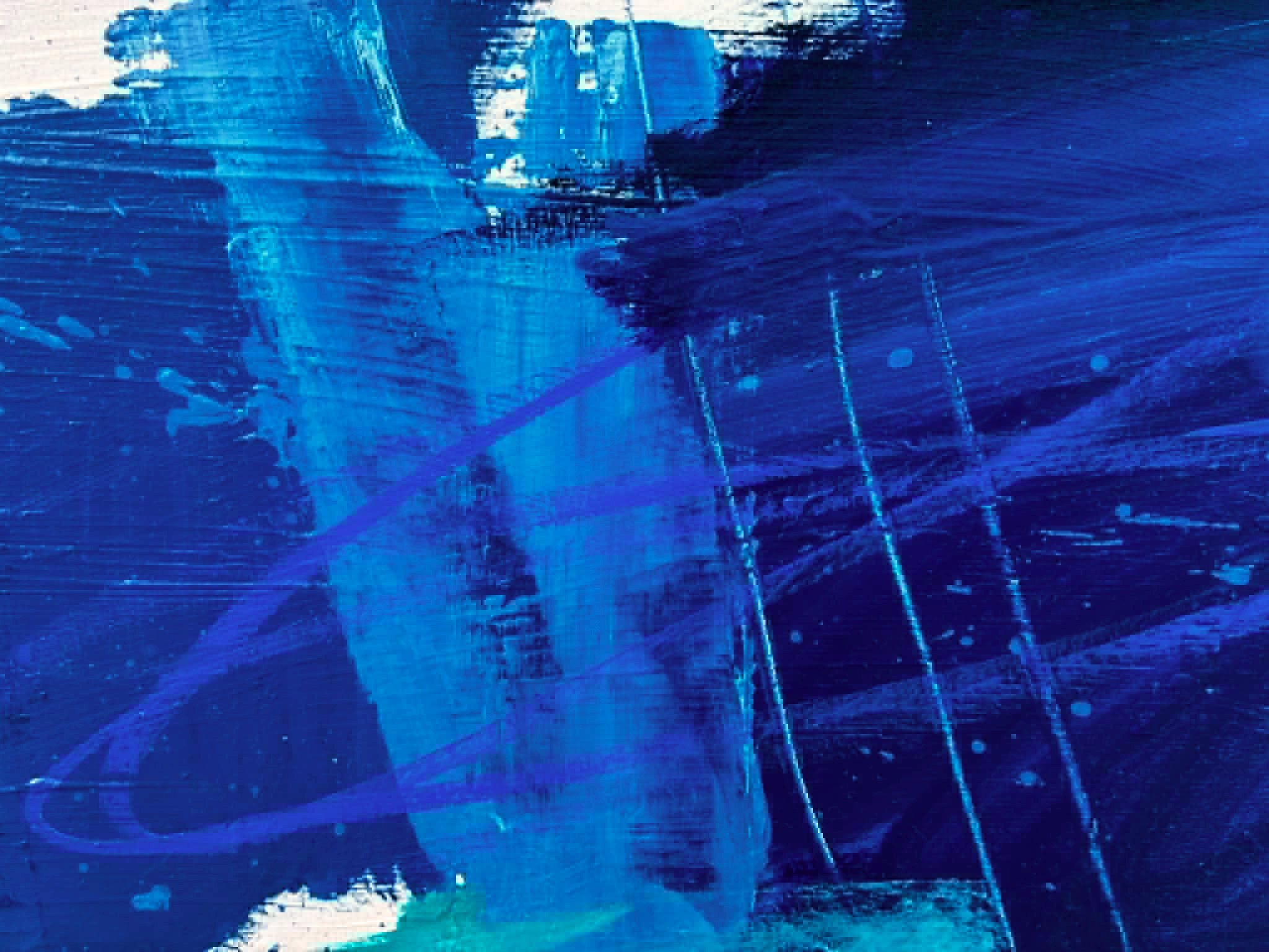 69164a62e1b8ea140711df10_blue-orchid-1i_1780579217718.jpg