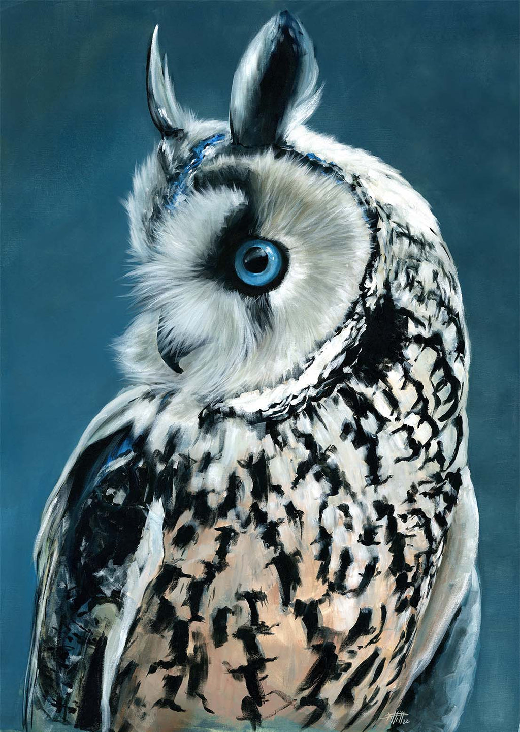 69164a62e1b8ea140711df10_blue-owl_1773351117308.jpg