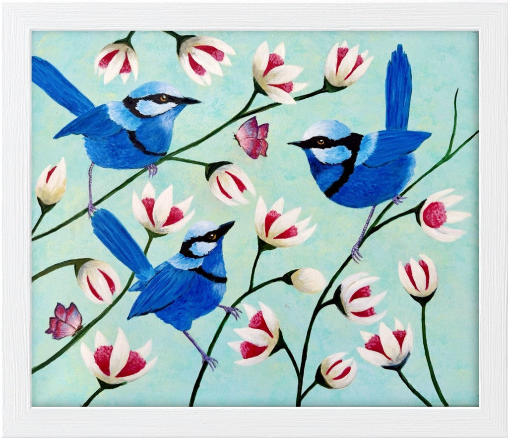 69164a62e1b8ea140711df10_blue-wrens-butterflies_1779433465435.jpg