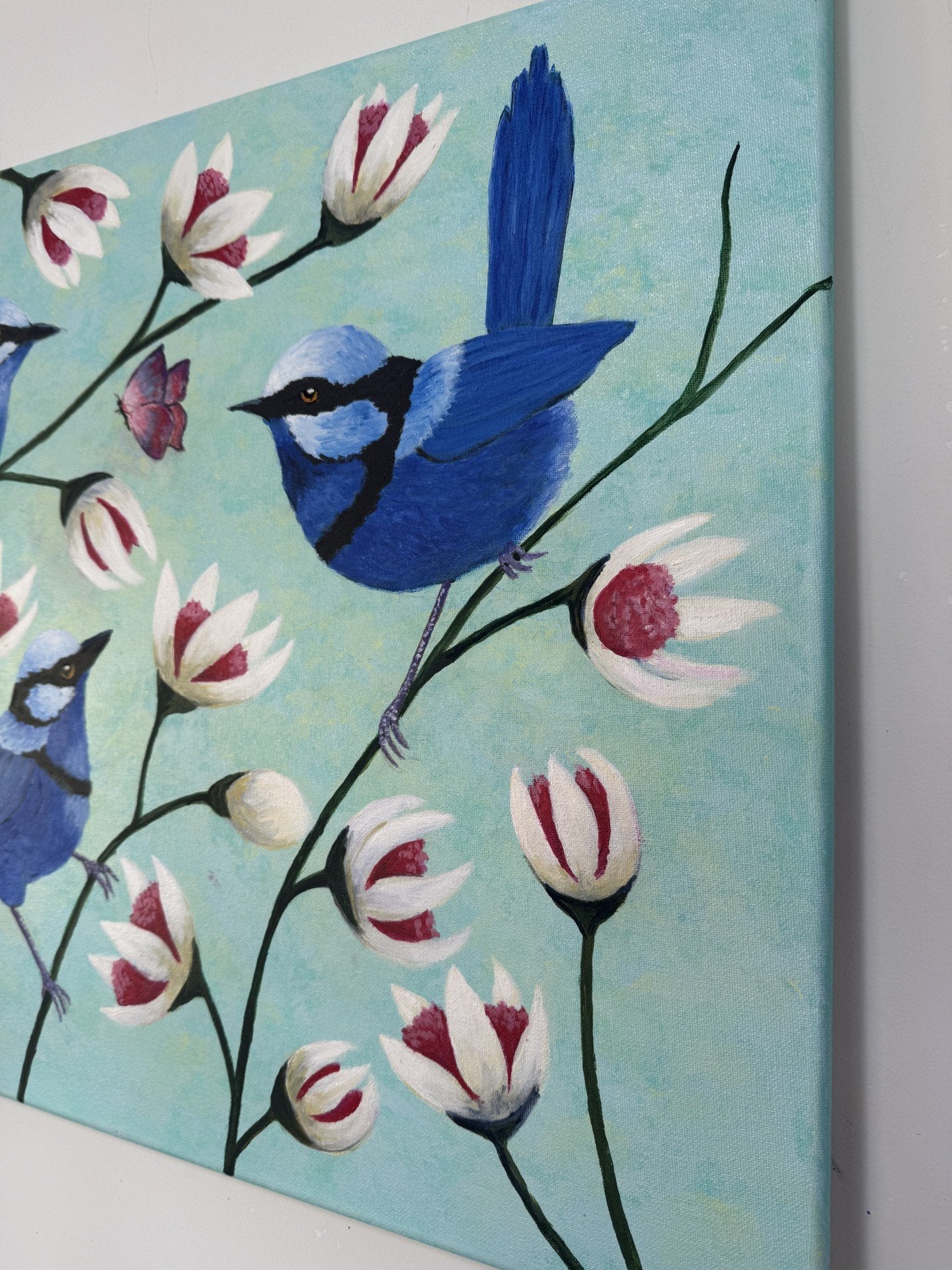 69164a62e1b8ea140711df10_blue-wrens-buttrflies-side_1779433517669.jpg