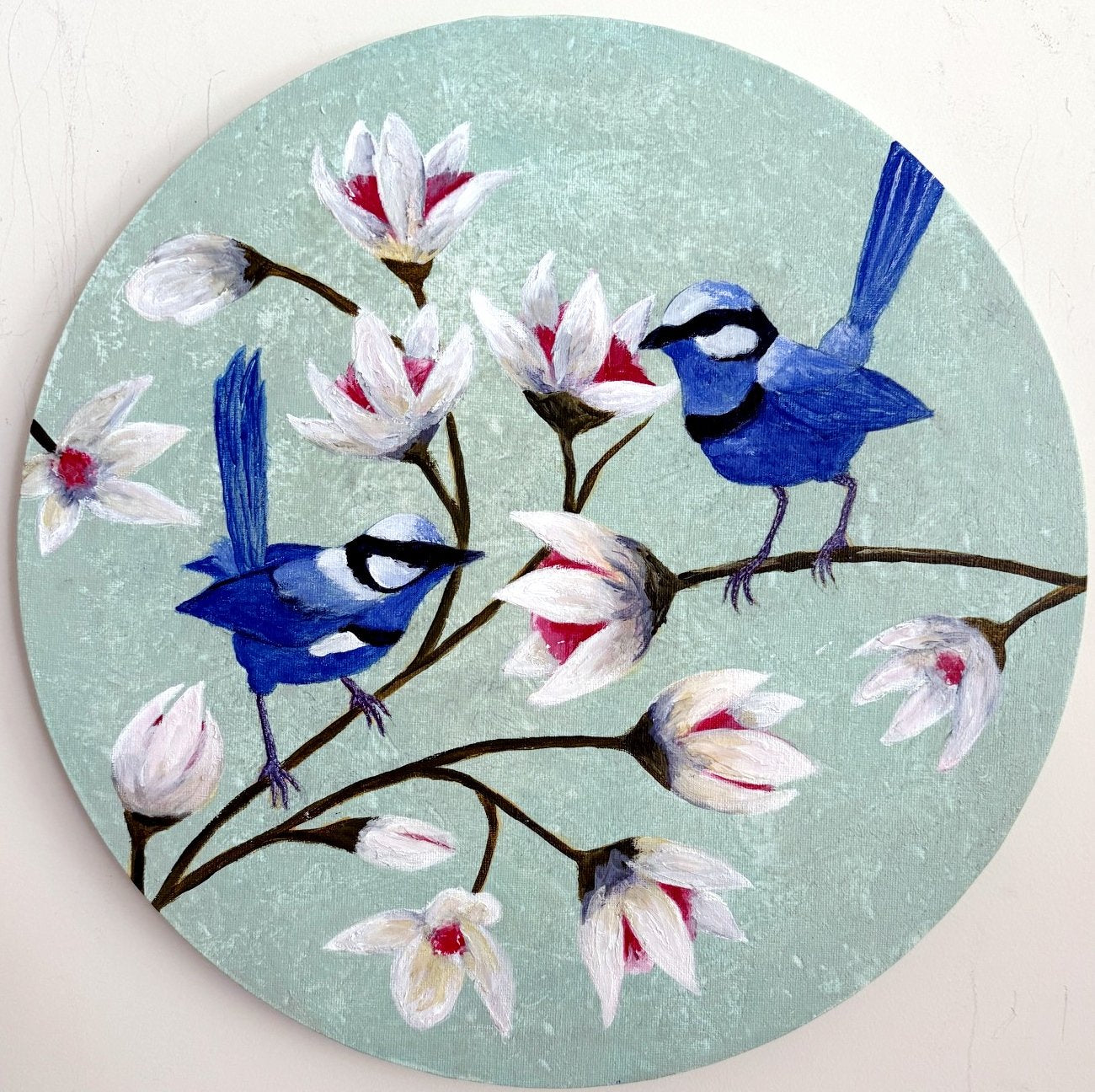 69164a62e1b8ea140711df10_blue-wrens-circle-1_1773015504842.jpg